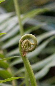 Spring nature spiral