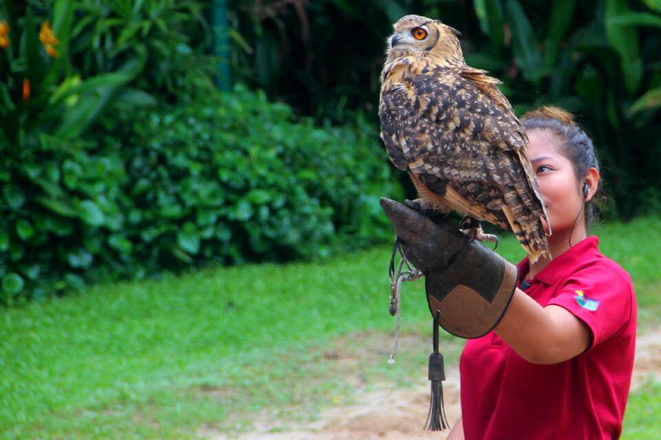 Woman bird bird park