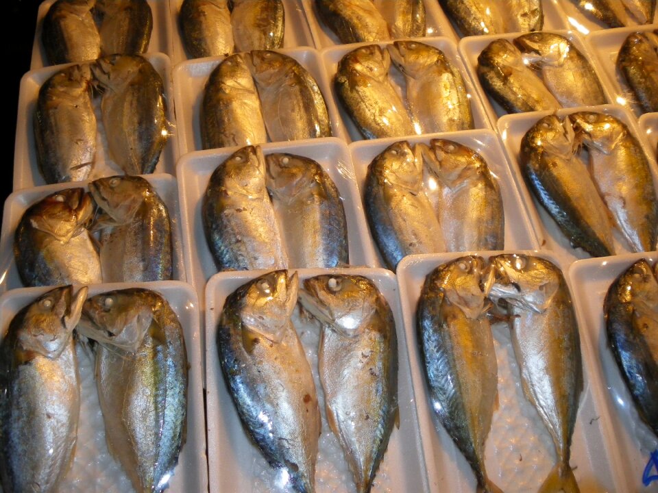 Fish market thailand