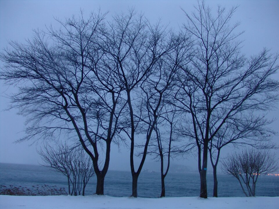 Lake nature loneliness