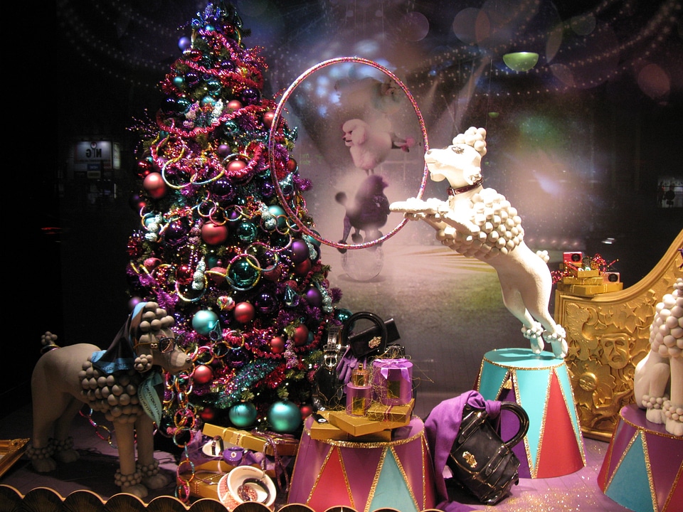 Window merry christmas dog