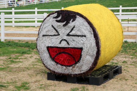 Park sculpture straw
