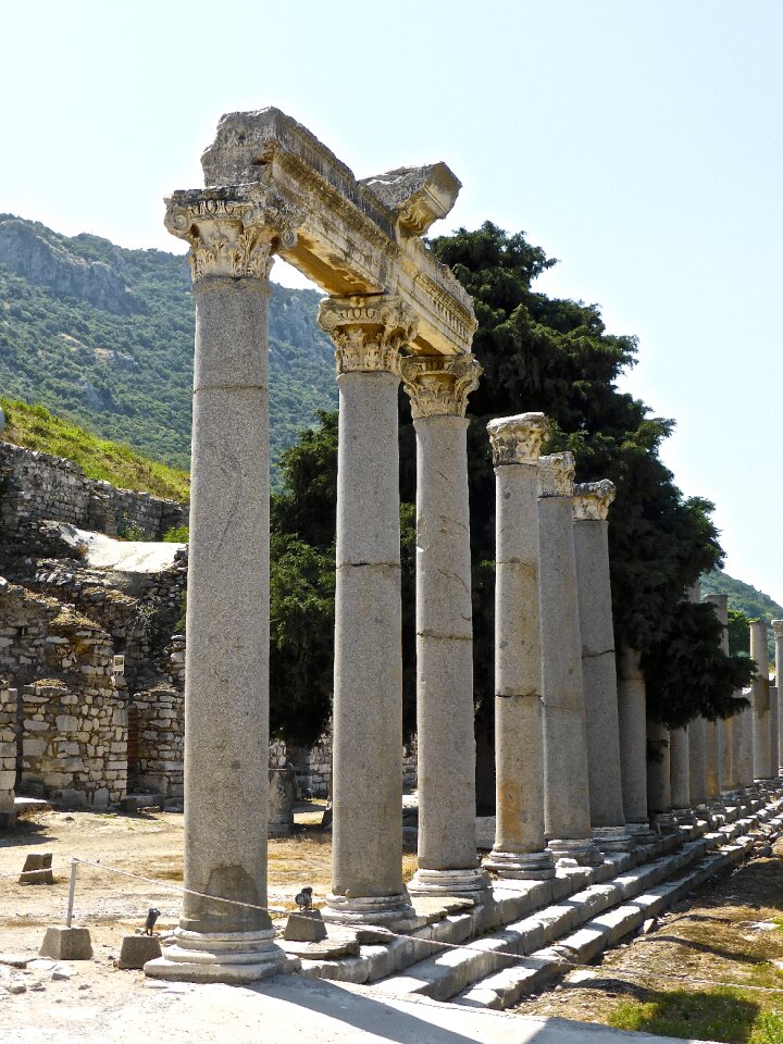 Classical turkey roman