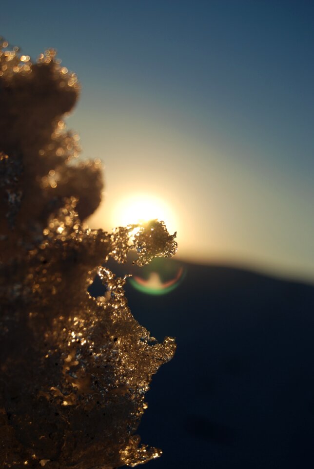 Sun cold frost
