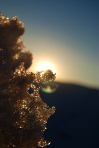 Sun cold frost photo