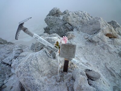 Summit top rosa