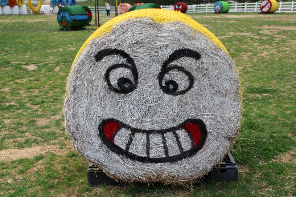 Park sculpture straw