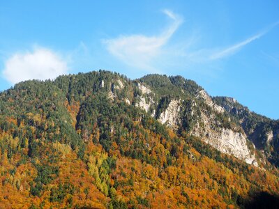 Fall color mountain forest forest photo