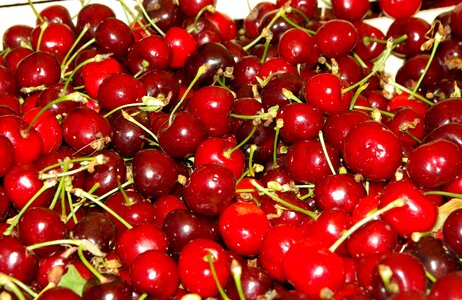 Red fruits cherries cherry photo