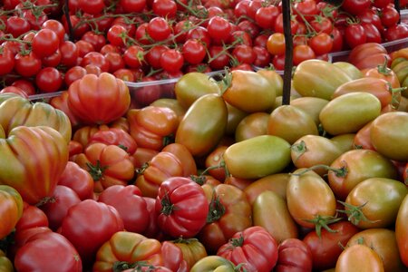 Green red ripe