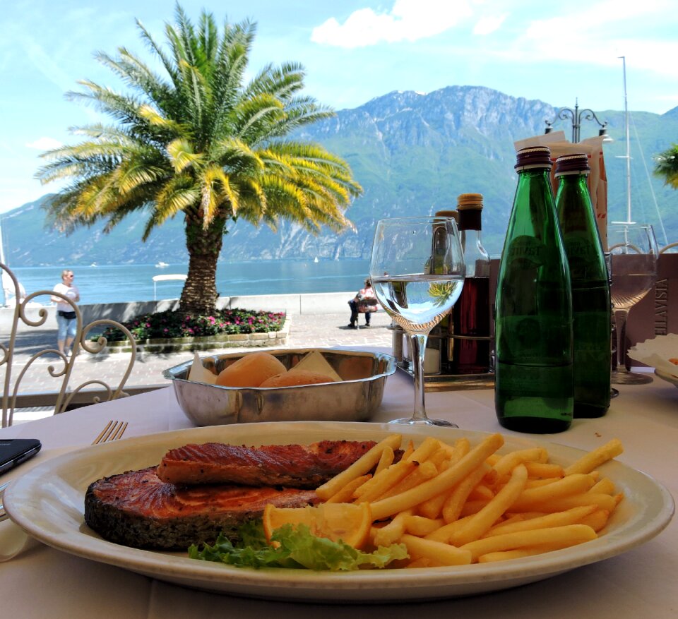 Mountain tree food