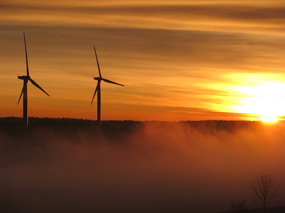 Growian sunrise fog