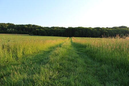 Lane nature trail promenade