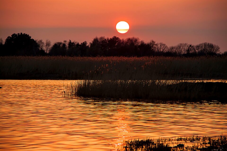 Day landscape lake