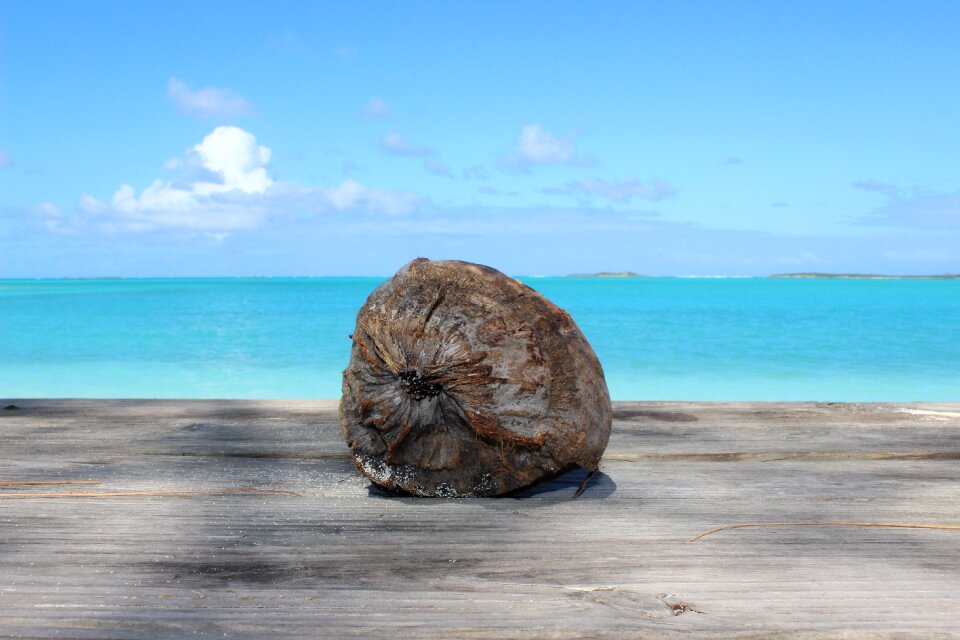 Beach caribbean sea