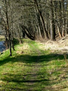 Trail nature hiking photo