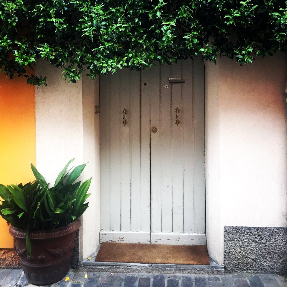 Door green plants
