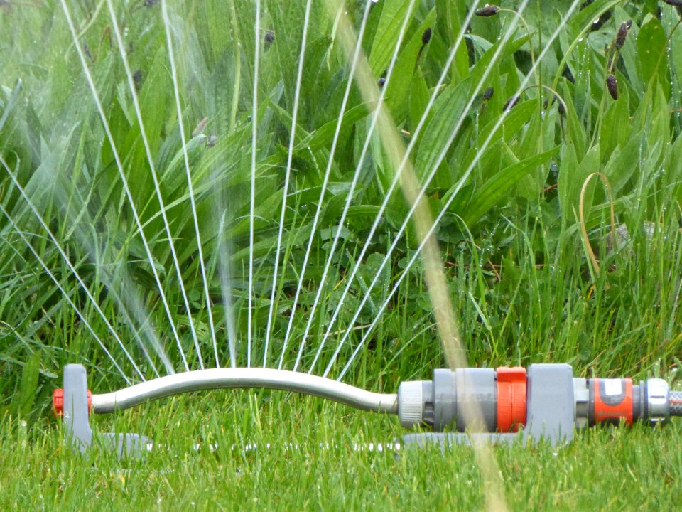 Drop of water juicy meadow