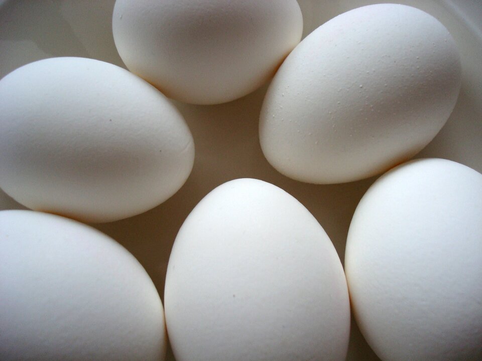 Protein easter gray egg