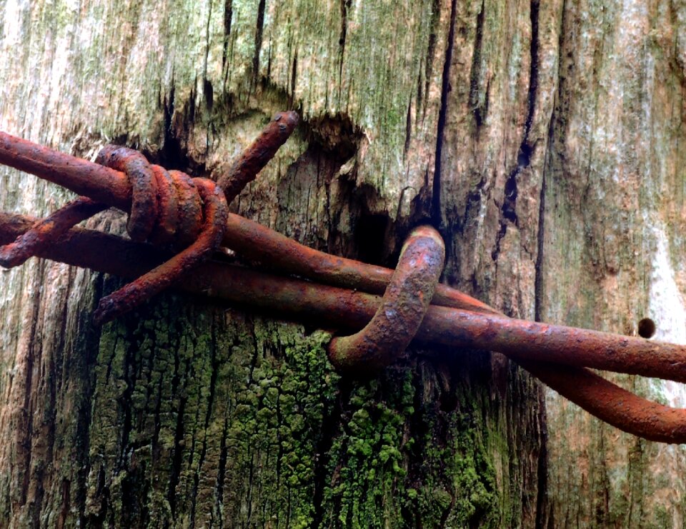 Oxide nails barbed wire
