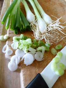 White green leek greenhouse