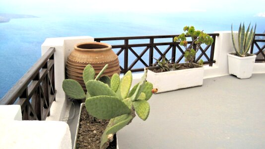 Plants travel
