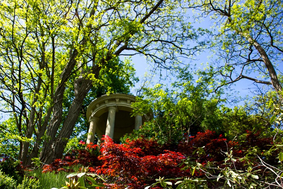 Nature landscape diepenheim