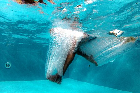 Immersion foot air bubbles photo