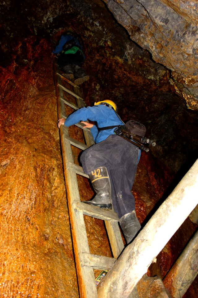 Holiday miner gold