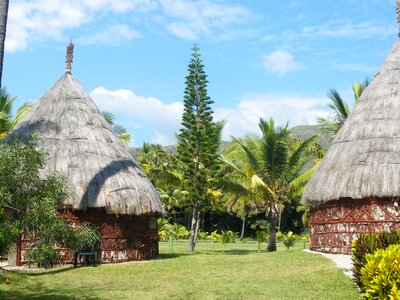 New caledonia coconut straw