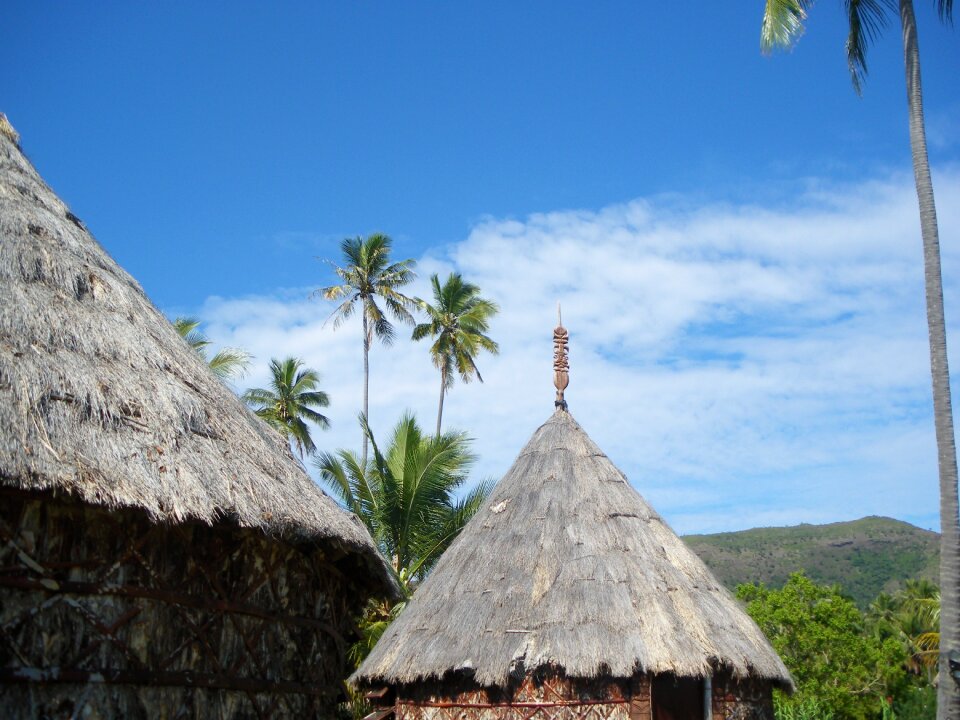 Coconut new caledonia straw