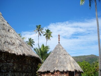 Coconut new caledonia straw