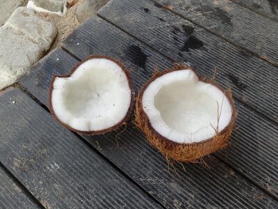 Coffee travel paradise lost