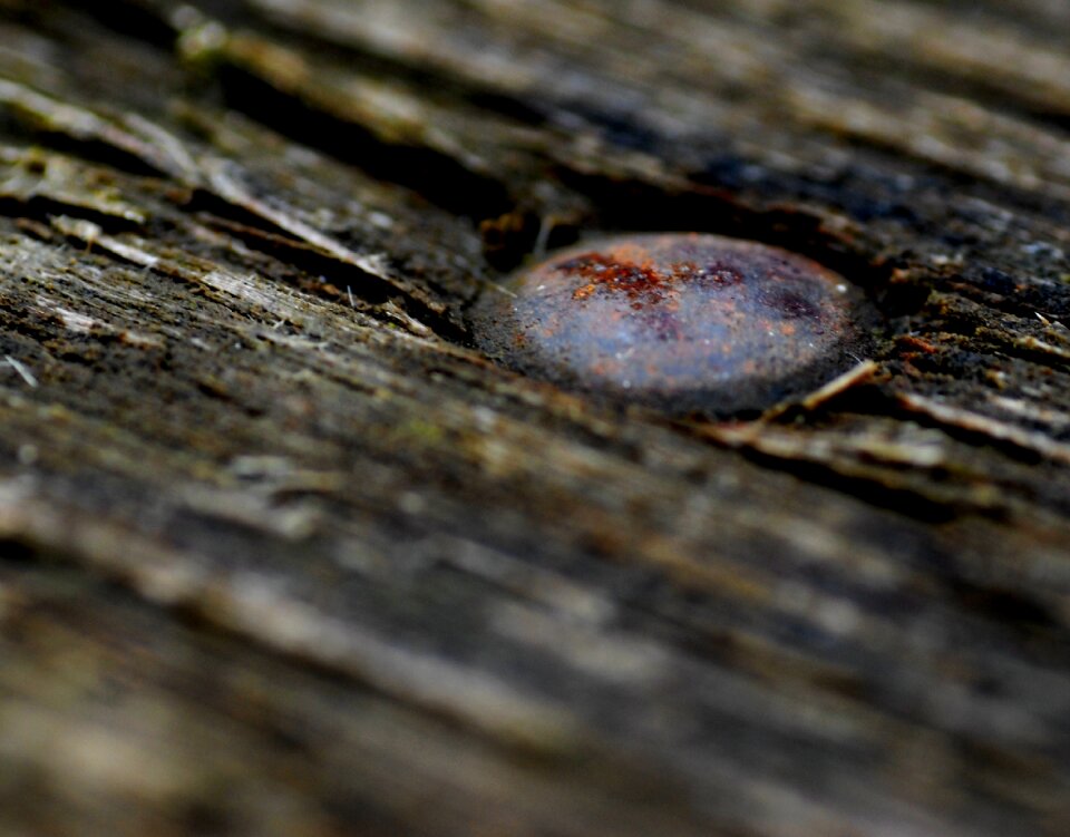 Wood iron metal