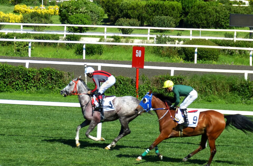Competition istanbul turkey