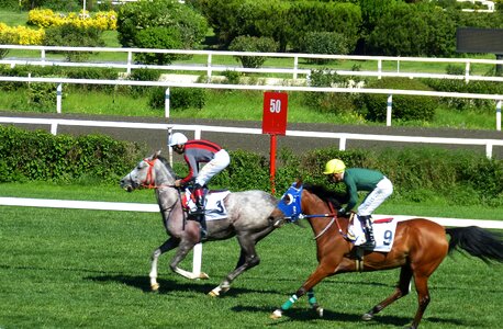 Competition istanbul turkey