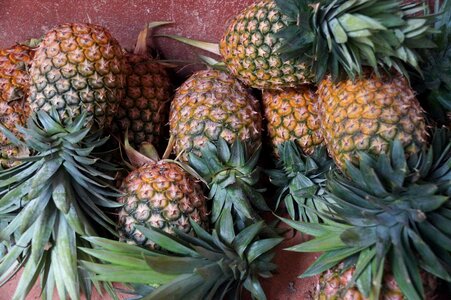 Juicy citrus