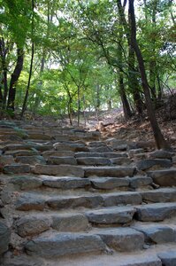 Landscape south korea spring