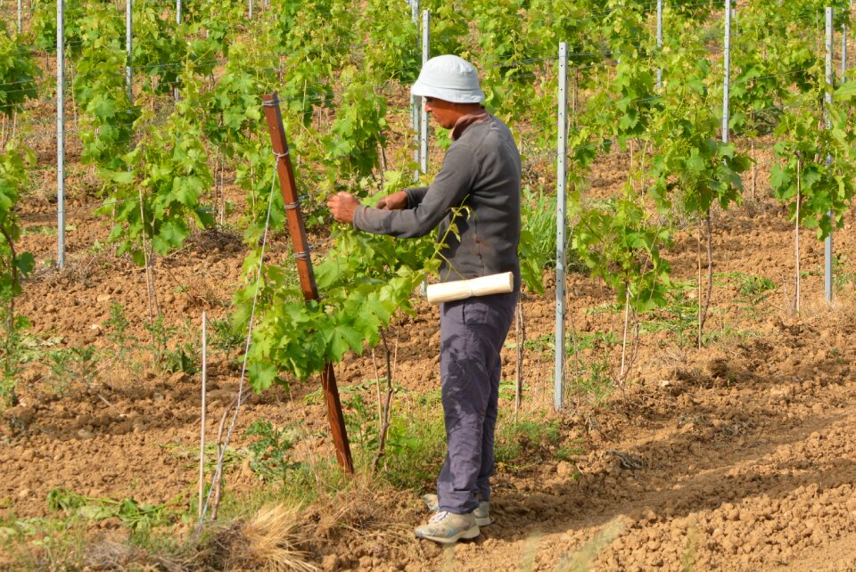 Worker farmer people