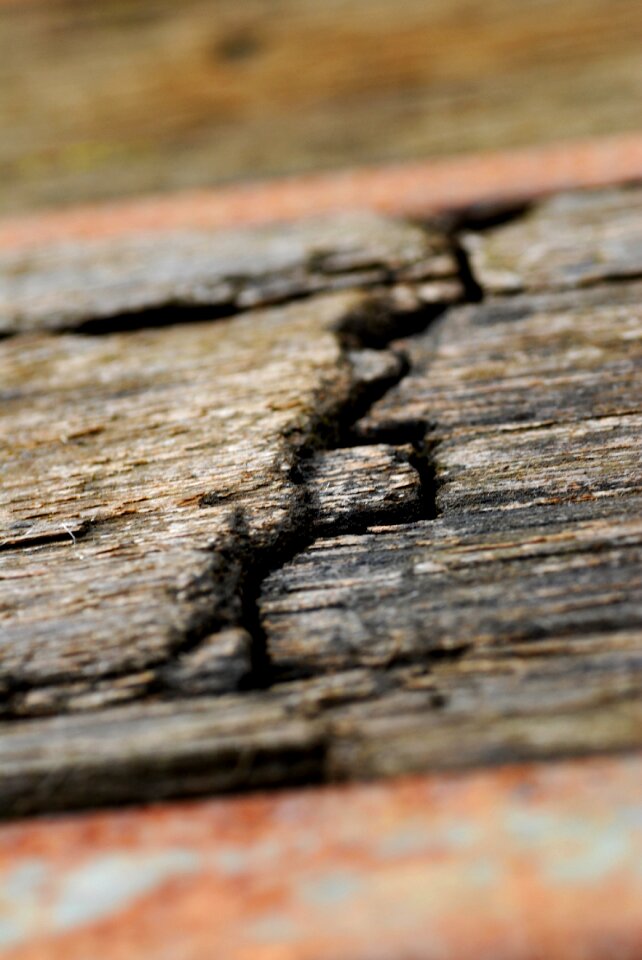 Oxide texture steel