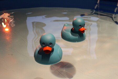 Toy cute play