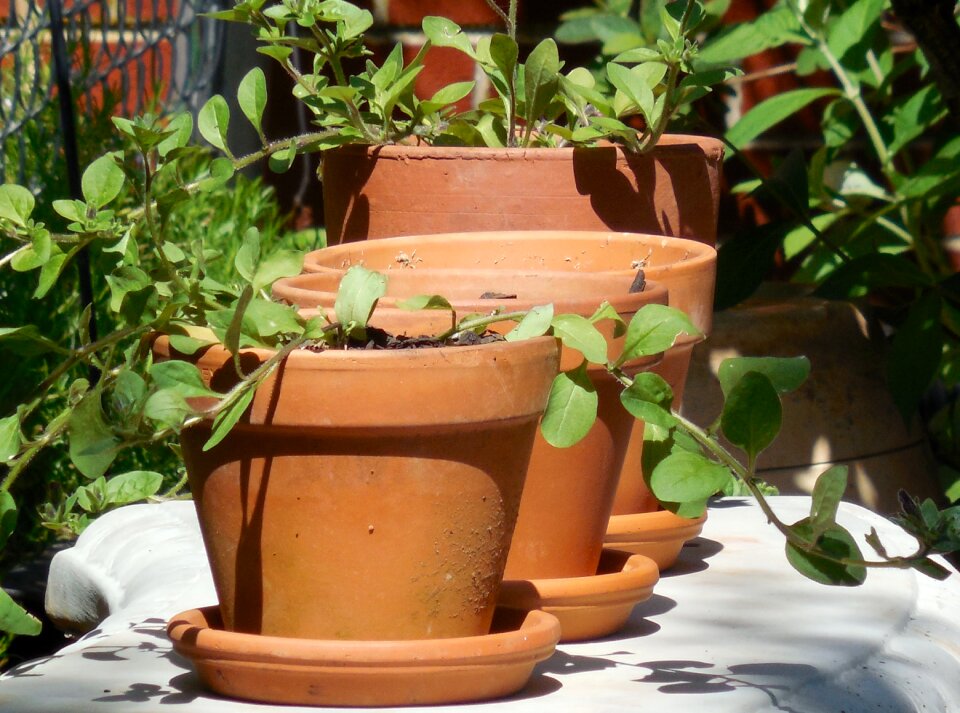Ceramic craft earthenware