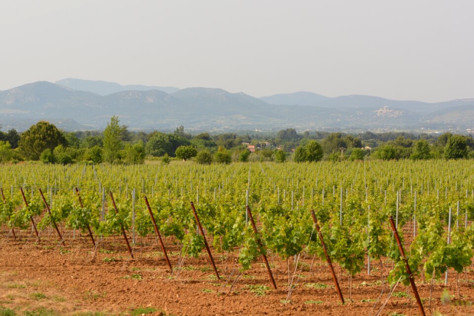 Landscape view nature