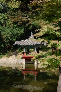 Landscape south korea spring