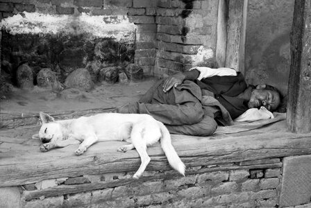 People dogs sleep