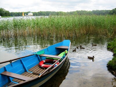 Boat forage cap ducks photo