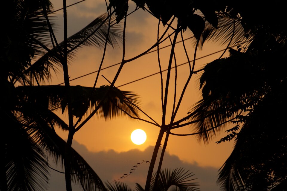 Colourful india sun