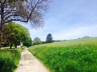 Away meadow nature