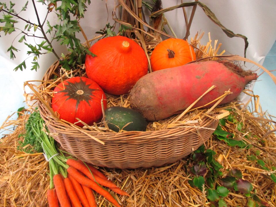 Autumn decorative squashes september