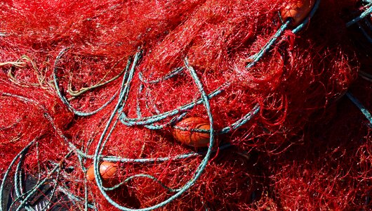 Fishing nets online fishing